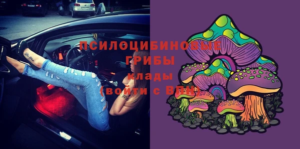 спайс Баксан