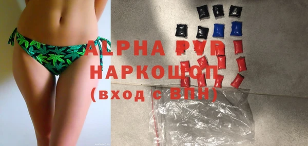 гашик Аркадак
